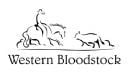 Western Bloodstock